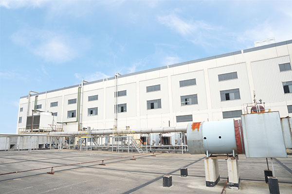 সমাবেশ লাইন