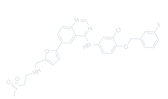জিয়াংসু বেসড নিউ মেটেরিয়াল কোং, লিমিটেড